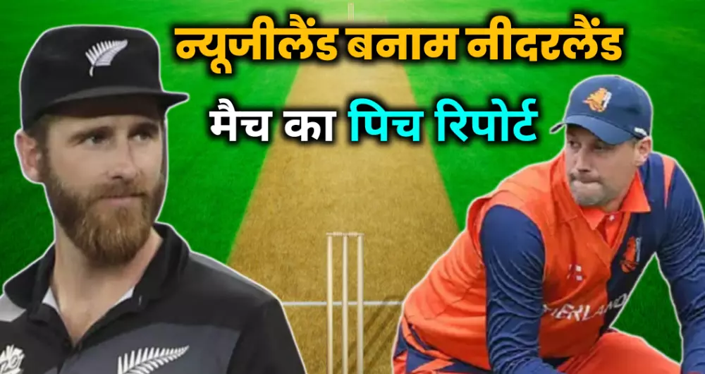NZ vs NED Match Pitch Report in Hindi